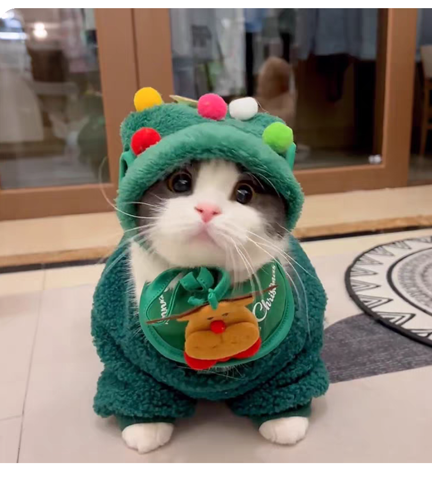 🎄 Cozy Christmas Cat Outfit Set – Hat, Scarf & Fuzzy Jacket