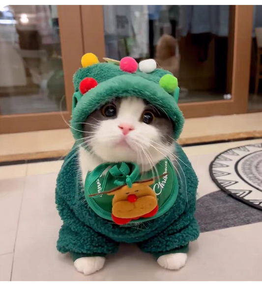 🎄 Cozy Christmas Cat Outfit Set – Hat, Scarf & Fuzzy Jacket